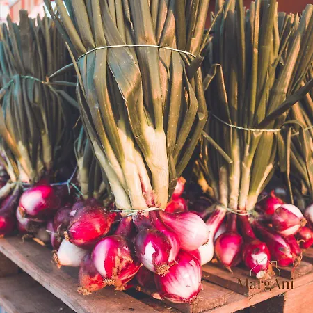 Margani فندق مبيت وإفطار 4*