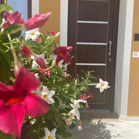 Margani Bed & Breakfast