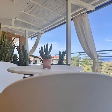 Margani تروبيا