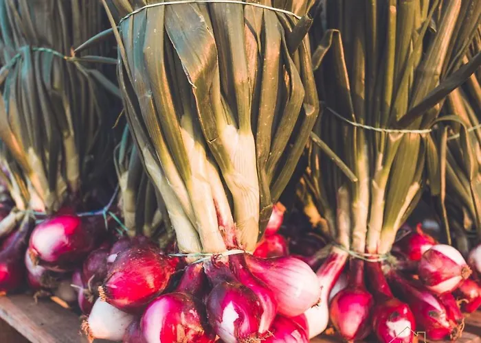 Margani Nocleg ze śniadaniem 4*