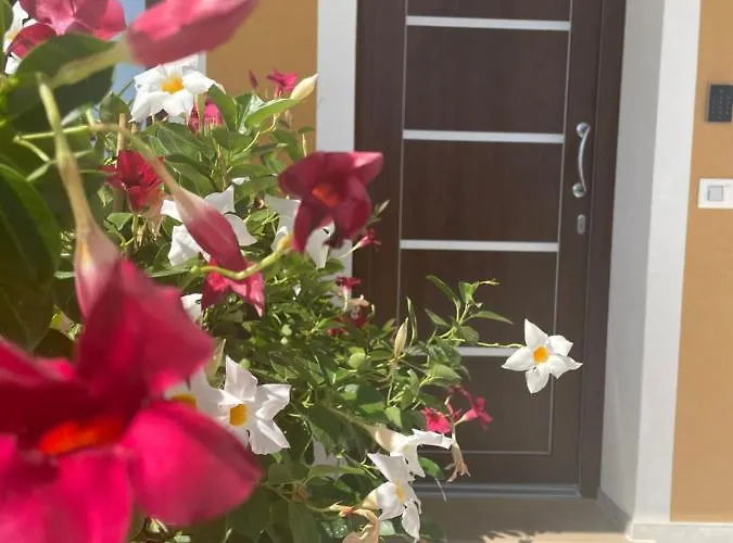 Margani Alojamento de Acomodação e Pequeno-almoço